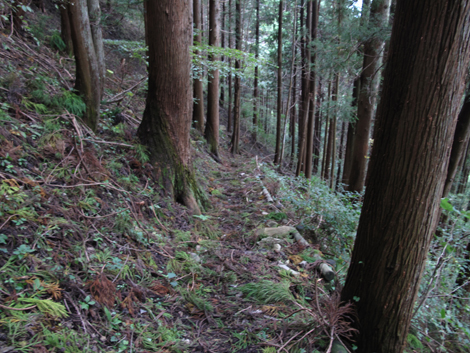 20181016hike (234)